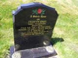 image of grave number 693481
